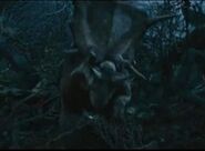 King Kong (2005)