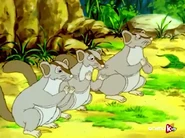 The New World of Gnomes (1997)