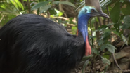 Australia's Wild Places (2013)