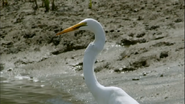 Earthflight (2012)