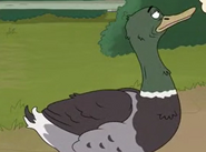 HouseBroken (2021-)