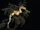 Leafy Sea Dragon