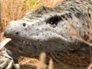 Monsters We Met Megalania.png (1.67 MB) Land of Lost Monsters (2004)