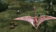 Animal Armageddon (2009)