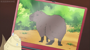 Shirokuma Cafe (2012-2013)