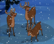 The Bamboo Bears (1996)