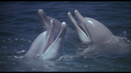 Cocoon (1985)