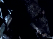 Land of Lost Monsters (2004)