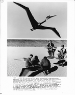 On the Wing (1986)
