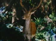 The Jungle Book (1942)