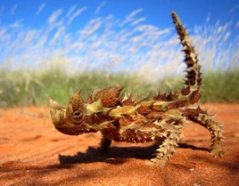 E5347ac1992cfe61ec41c706ad7d0ee1