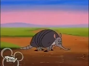 The Lion King's Timon and Pumbaa (1995-1999)