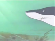 Noah's Island (1997-1999)