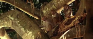 The Second Jungle Book: Mowgli and Baloo (1997)