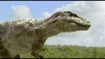 Tarbosaurus