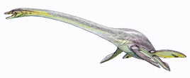 Elasmosaurus platyurus-73ad533dd6784836a4ab9eaa56249791