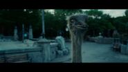 Zookeeper (2011)