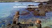 Galapagos: Nature's Wonderland (2014)