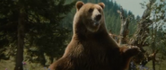 The Bear (1988)