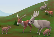Leo the Wildlife Ranger (2015)