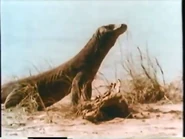 Reptiles and Amphibians (1968)