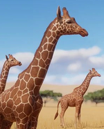 Planet Zoo Giraffe