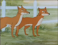 Red Fox/TV Shows