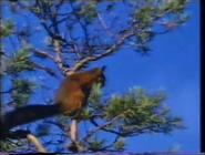 The Velvet Claw (1992)