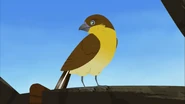 Wild Kratts (2011-)