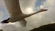 Ireland's Wild River (2014)