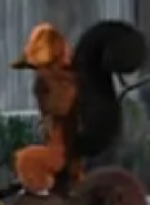 Merry Madagascar (2009)