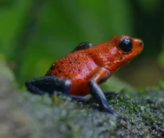 Life on Our Planet (2023)