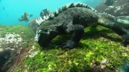 Galapagos (2006)