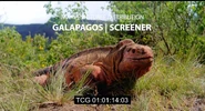 Galapagos: Nature's Wonderland (2014)