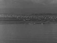 Trader Horn (1931)