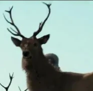 The Chronicles of Narnia: Prince Caspian (2008)