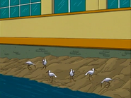 Futurama (1999-2012)