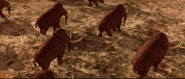 Mission to Mars (2000)