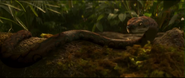 Jungle Cruise (2021)