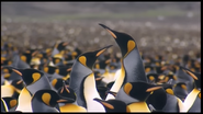 Penguin Baywatch (2001)