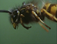 Supersense (1988)