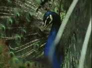 Life on Earth (1979)