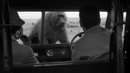 Something of Value (1957)