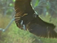 Spirits of the Jaguar: The Forging of a New World (1996)