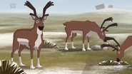The Green Squad (2011)