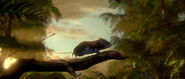 Legend of the Guardians: The Owls of Ga'Hoole (2010)