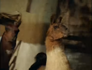 Noah's Ark (1999)