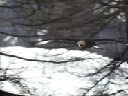 Gran Paradiso (1990)