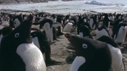 Massive Nature (2004)