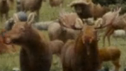 Evan Almighty (2007)